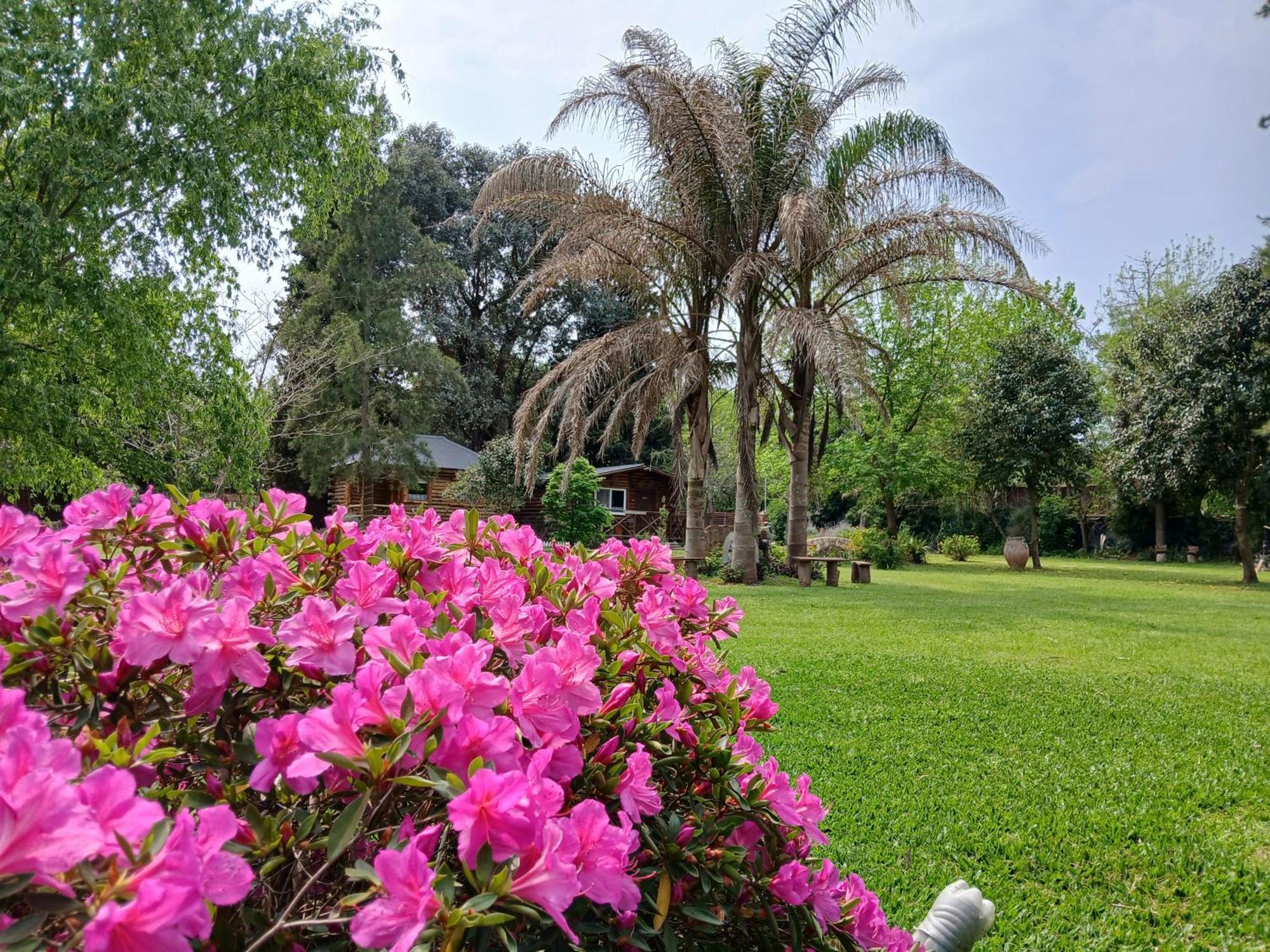Pualy Resort & Spa Belén de Escobar Extérieur photo